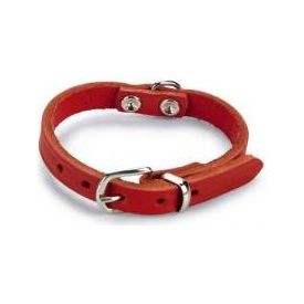 Beeztees - Halsband Hond - Leer - Rood - 17,5-22,5 cm x 10 mm | Halsbanden