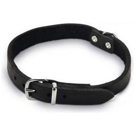 Beeztees - Halsband Hond - Leer - Zwart - 35,5-41,5 cm x 18 mm | Halsbanden