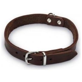 Beeztees - Halsband Hond - Leer - Bruin - 35,5-41,5 cm x 18 mm | Halsbanden