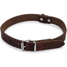 Beeztees - Halsband Hond - Leer - Bruin - 43-52 cm x 20 mm | Halsbanden