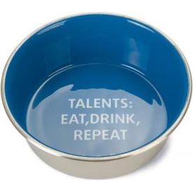 Beeztees Voer- en Drinkbak Talents - Hond - RVS - Blauw - 16cm | Water- voederbakken en drinkflessen