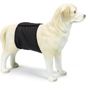 Beeztees Incontinentieband Reu - Hond - Zwart - S - 49x14 cm | Overige