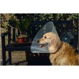 Beeztees - Hondenkraag - Plastic - 44-50x25 cm | Overige