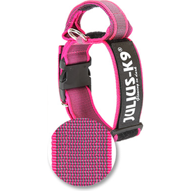 Halsband Met Beveiligingssluiting - Roze - 50mm x 47-67cm | Halsbanden