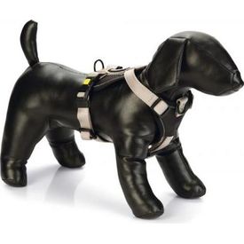 Beeztees Parinca Premium Y-Tuig - Hondentuig - Nylon - Lichtgrijs - 38- 48 cm x 20 mm | Overige tuigen