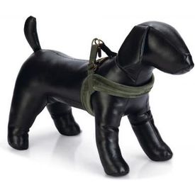 Designed by Lotte Velura - Hondentuig - Groen - M - 20 mm x 58 cm | Overige tuigen