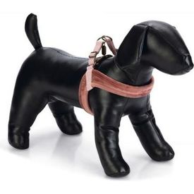 Designed by Lotte Velura - Hondentuig - Roze - M - 20 mm x 58 cm | Overige tuigen