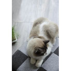 Let'S Sleep Pet Cube Licht/Donker Grijs | Manden