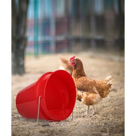 Pluimvee Drinkemmer Kunststof 6 L Red | VOER- EN DRINKBAKKEN