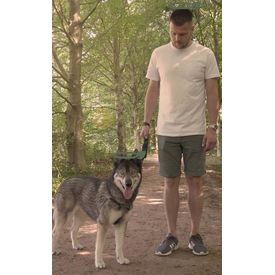 Poopygo Dispenser Incl. 15 Zakjes Lavendelgeur | Poepzakjes en houders