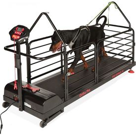 Dog Runner Ortho Pro | Loopbanden