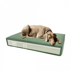 Madison Orthopedisch kussen Velvet groen S | Kussens