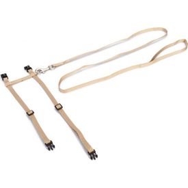 Beeztees Uni - Kattentuig - Nylon - Beige - 27-45 cm x 10 mm | Kattentuigjes