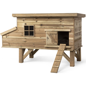 Kippenhok Finn | KIPPENHOKKEN