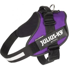 IDC Powertuig Dark Purple - Maat Mini | IDC Powertuigen