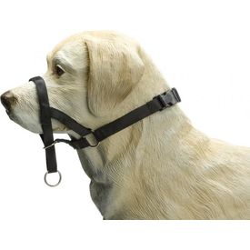 Beeztees Dog Control - Halsband Hond - Zwart - L | Halsbanden