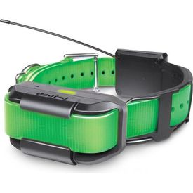 Dogtra Pathfinder halsband - Groen | Onderdelen