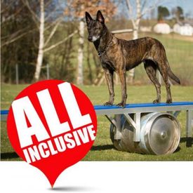 Reddingshond Complete set | Veldmateriaal