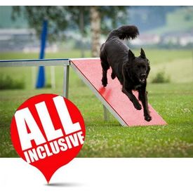 Vrije tijd - complete set | Veldmateriaal