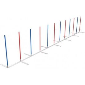 Agility Slalom | Veldmateriaal