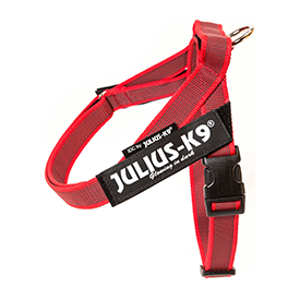 IDC Riemtuig Rood - Maat 3 | IDC Riemtuigen