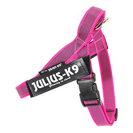 IDC Riemtuig Roze - Maat Mini Mini | IDC Riemtuigen