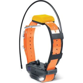 Dogtra Pathfinder halsband - Oranje | Onderdelen