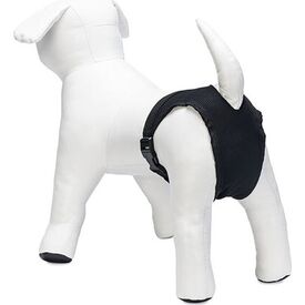 Beeztees loopsheidbroekje - Hond - Zwart - S - 24-31cm | Overige