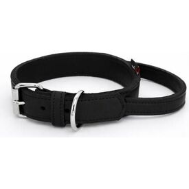 Halsband vetleer - Met handgreep - Zwart - Diverse afmetingen