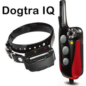 Dogtra Iq Plus Trainings Band C.E. Goedgekeurd | Trainingsbanden