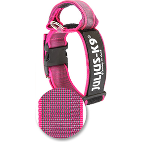 Halsband Met Beveiligingssluiting - Roze - 40mm x 38-53cm | Halsbanden