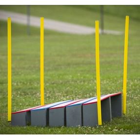 Agility Lange sprong | Veldmateriaal