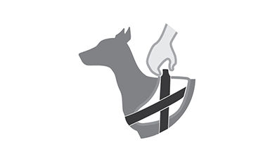 Hoe houd je veilig een hondentuig vast