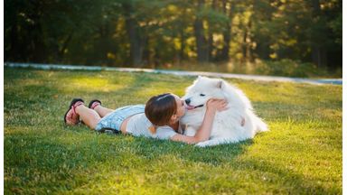 Knuffelen met de hond