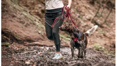 Julius-K9 anti sliplijn