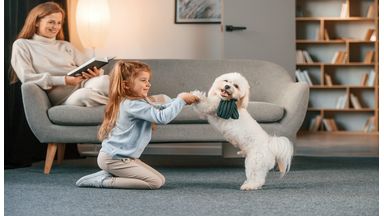 Hond geeft poot aan klein meisje