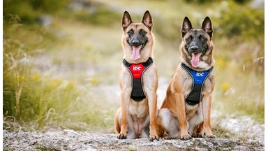 IDC longwalk hondentuig