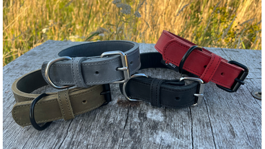 leren lijnen en halsband