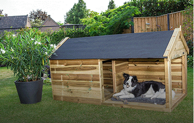 Hondenverblijven