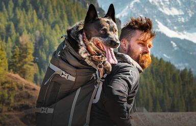 Man met hond in rugzak