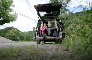 Autokooien en kennelmateriaal