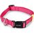 Beeztees Uni - Halsband Hond - Roze - 48-70 cm x 25 mm | Halsbanden