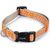 Beeztees Triangle - Halsband Hond - Lichtgrijs - 35-50 cm | Halsbanden