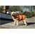 Beeztees Veiligheidsvest/Zwemvest - Hond - M - 9-23Kg | Overige tuigen
