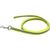 Hondenriem - 20mm x 2m - Neon | Hondenriemen