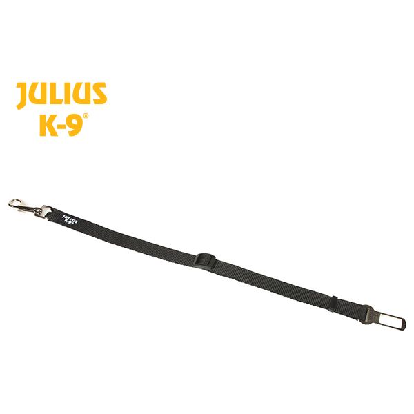 Auto Gordel Sluiting Maat 2 | Accessoires