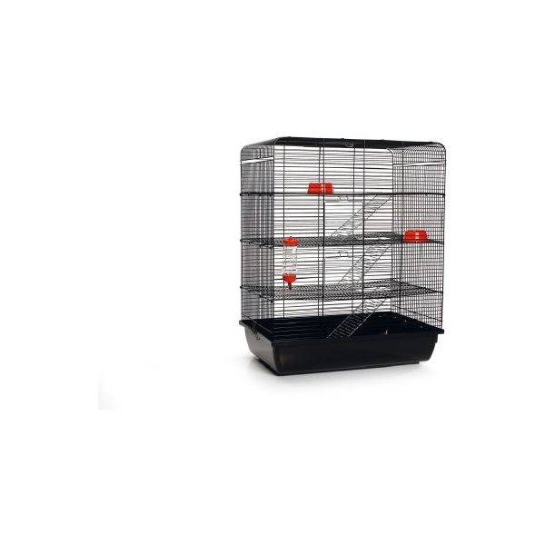 Beeztees Remy - Rattenkooi - Zwart - 58x38x71 cm | Kooien