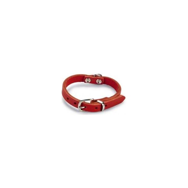 Beeztees - Halsband Hond - Leer - Rood - 17,5-22,5 cm x 10 mm | Halsbanden