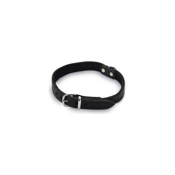 Beeztees - Halsband Hond - Leer - Zwart - 35,5-41,5 cm x 18 mm | Halsbanden