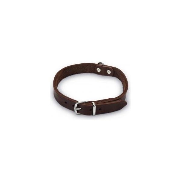 Beeztees - Halsband Hond - Leer - Bruin - 35,5-41,5 cm x 18 mm | Halsbanden